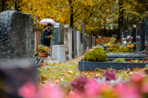 a graveyard. Couple goes through the legal process of wrongful death suits to handle their decedent's estate.